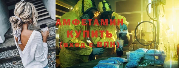 гидра Алексеевка