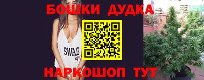 индика Шелехов
