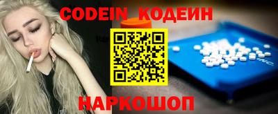 индика Шелехов