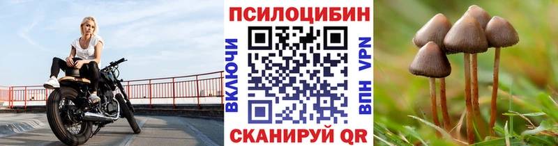 Галлюциногенные грибы мухоморы  мега tor  Новомосковск 