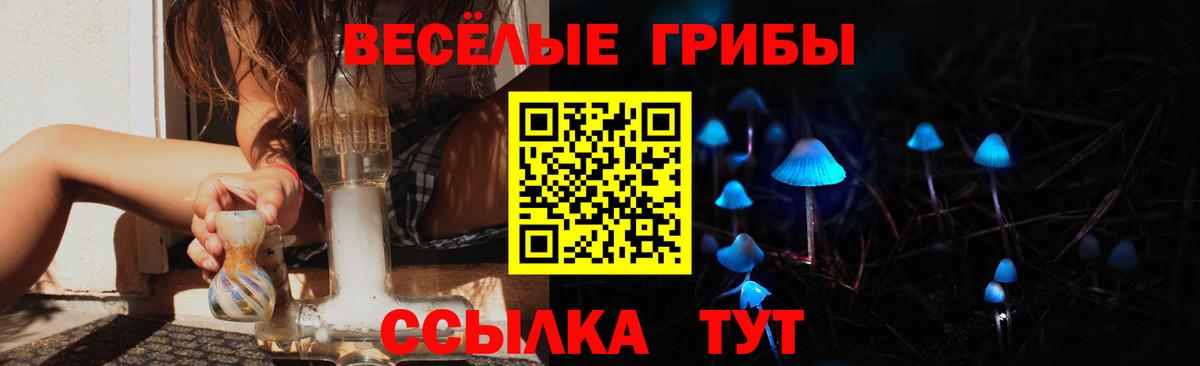 наркошоп  Псилоцибиновые грибы Cubensis  Вход с VPN  Новомосковск  Галлюциногенные грибы Psilocybe 